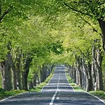 Urlaub Unterm Reetdachhaus Am Neuensiener Appartamento *